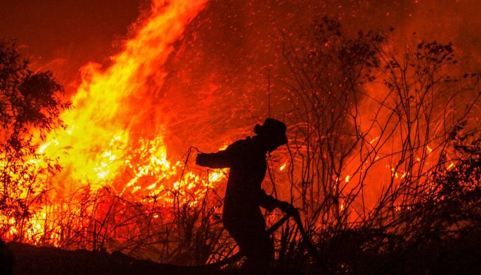 Aumentan hasta 500% los incendios forestales en Querétaro