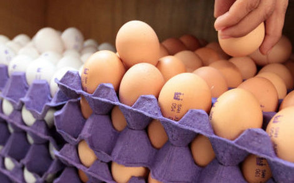 Sube el precio del huevo en Querétaro hasta 36 pesos el kilo Dialogos