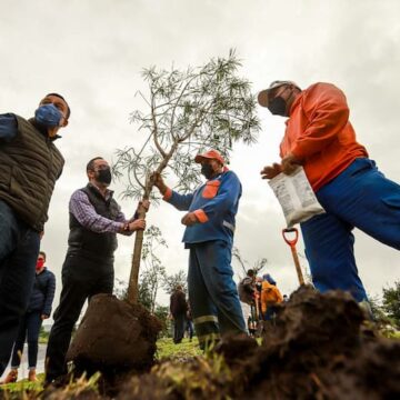 Conmemora el Municipio de Querétaro el Día Nacional del Árbol