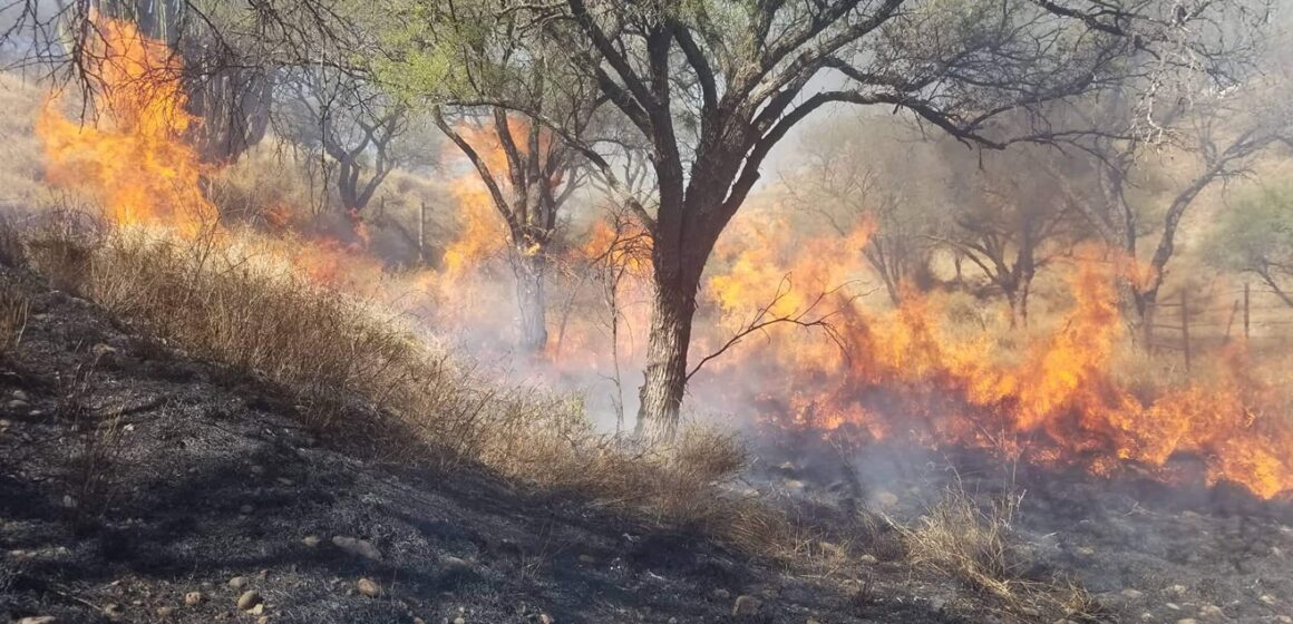 Lanza Arroyo Seco alerta temprana por riesgo de incendios forestales en zonas serranas