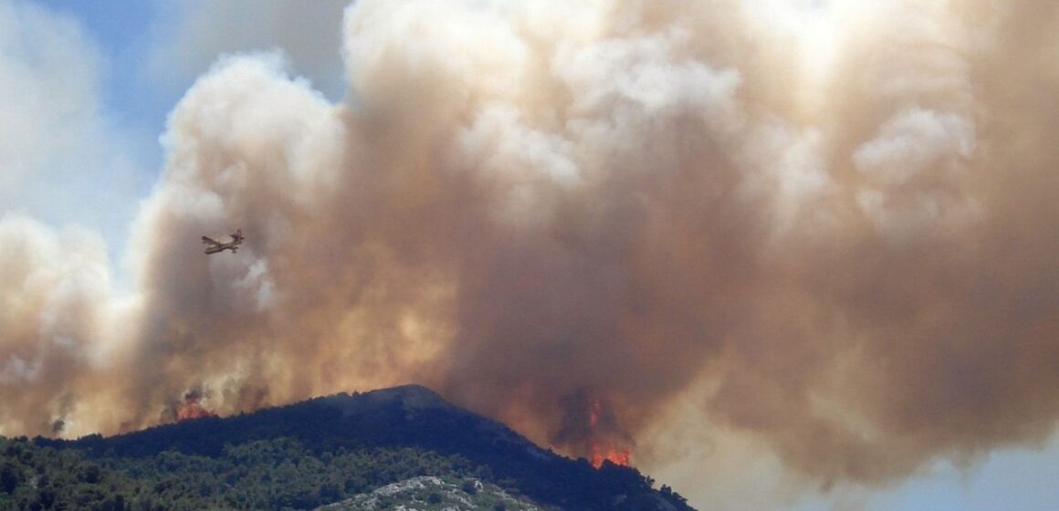 Advierten riesgos de incendios forestales