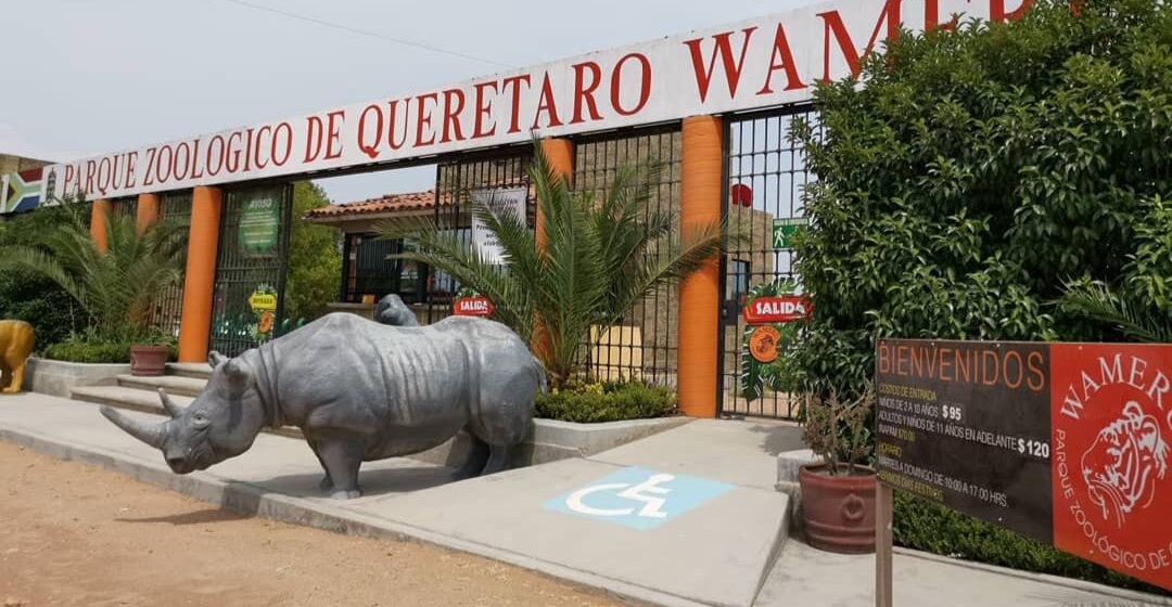 Exigen justicia por asesinato de dueño del zoológico “Wamerú”