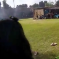 VIDEO Comando armado irrumpió en un balneario de Guanajuato y asesinó a siete personas