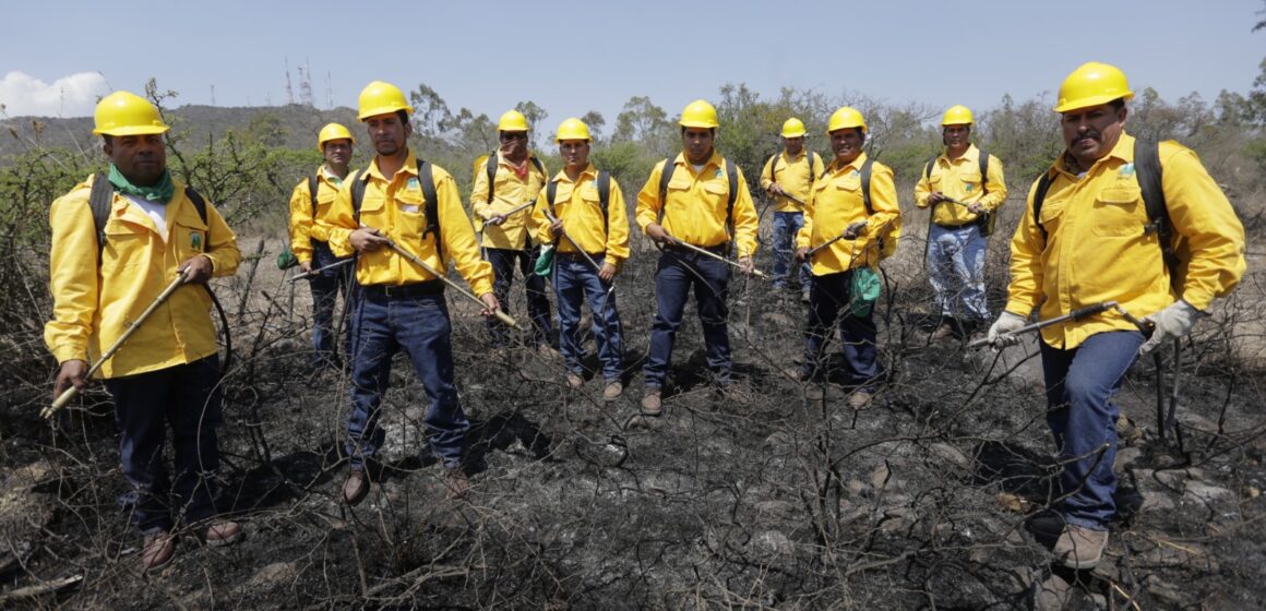 Emite la SEDEA recomendaciones para prevenir incendios forestales