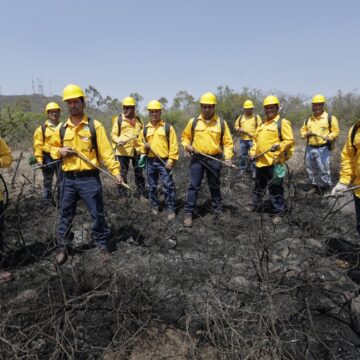 Emite la SEDEA recomendaciones para prevenir incendios forestales