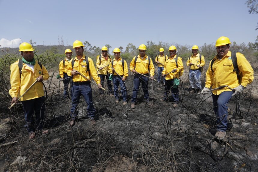 Emite la SEDEA recomendaciones para prevenir incendios forestales