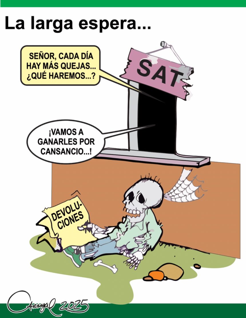 EL MONERO Y EL SAT