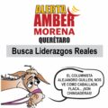 El Monero y la caballada morena
